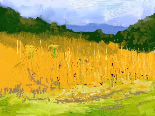 The Meadow at Spear Hill Farm; 
Artrage app, 2012; 
768 x 1024 px